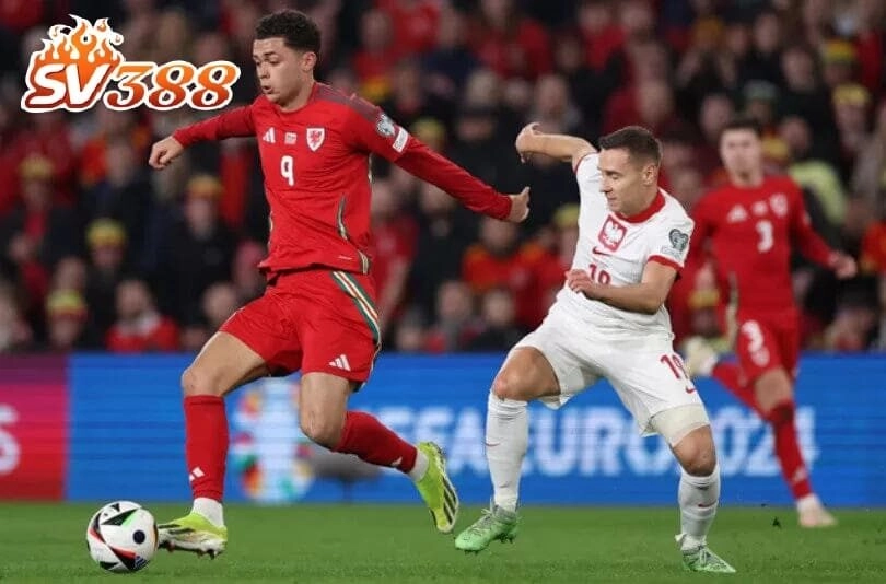 Bí kíp chơi thể thao SV388 rất hữu ích